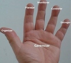 Gerenciar a equipe